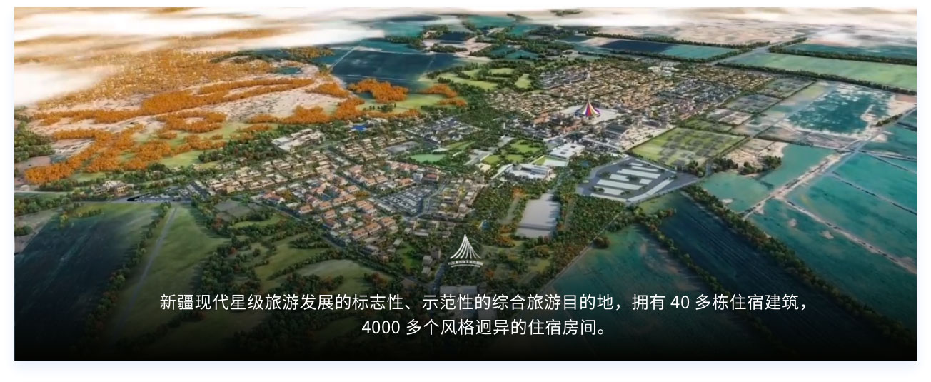 成功案例